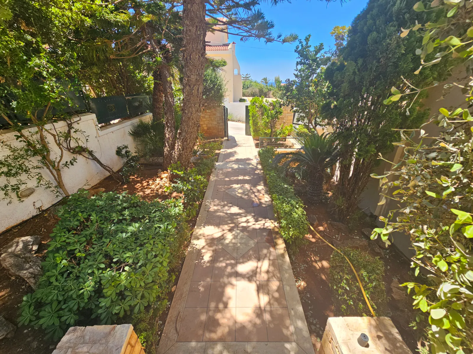 Gallery image 9
