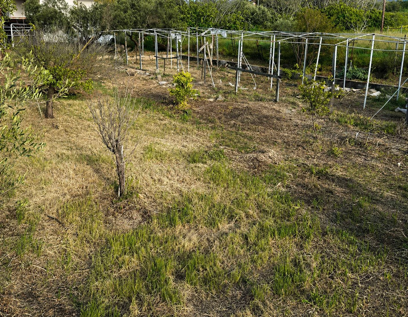Gallery image 1
