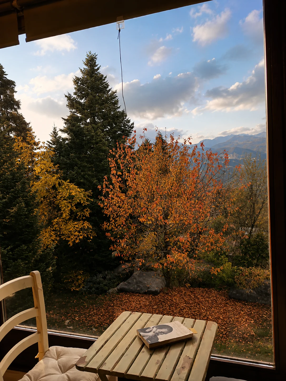 Gallery image 17