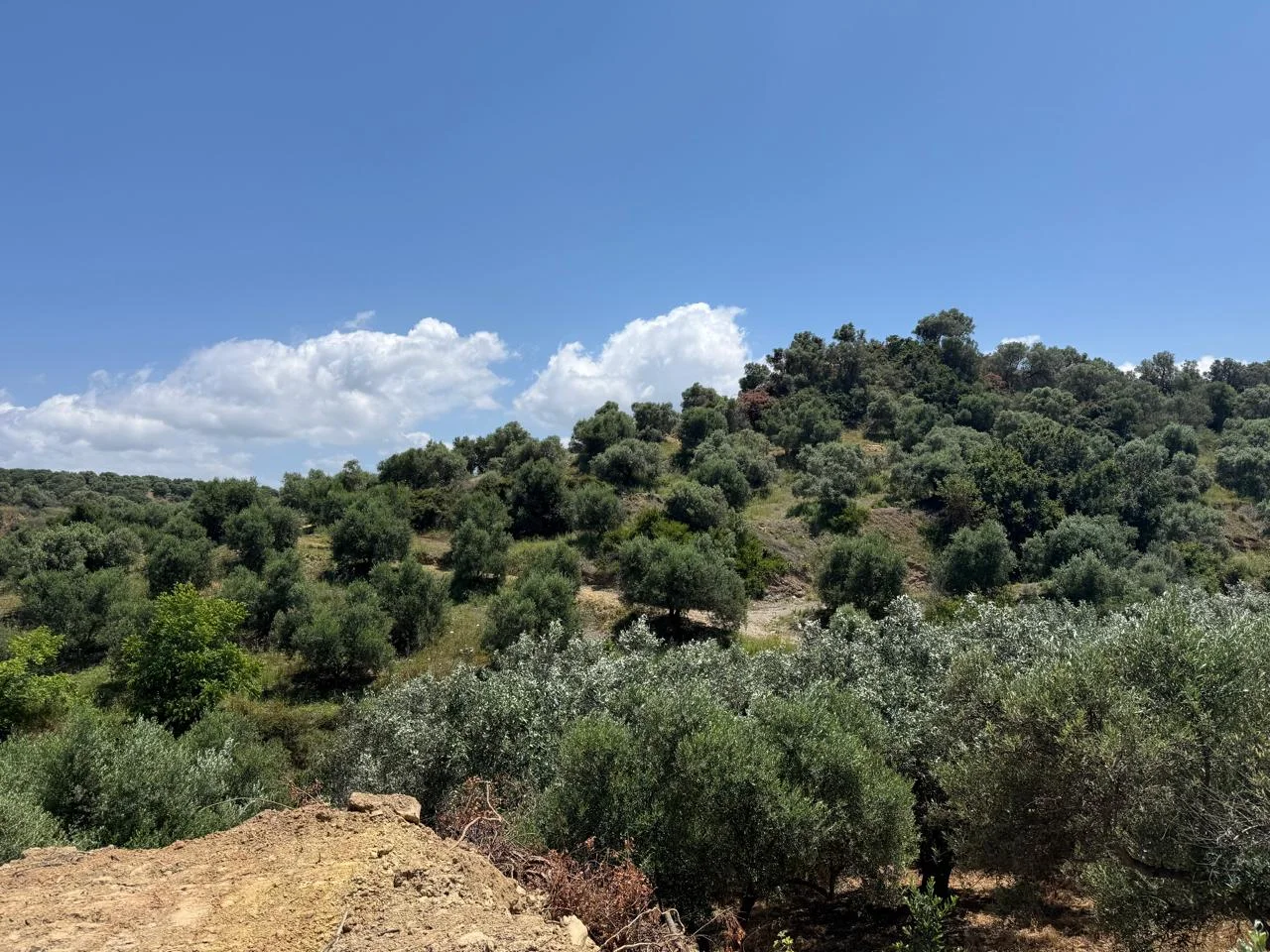 Gallery image 10