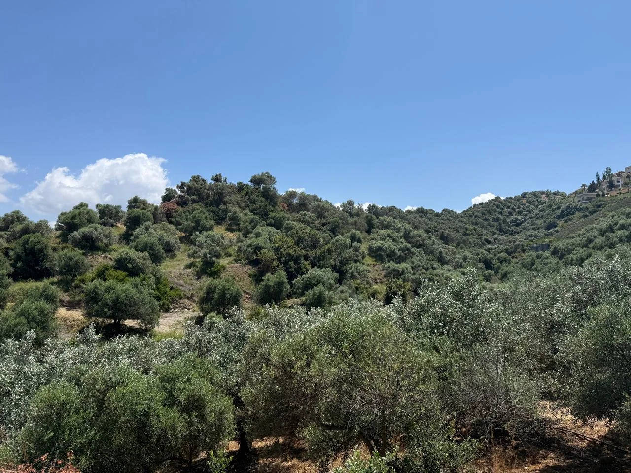 Gallery image 11
