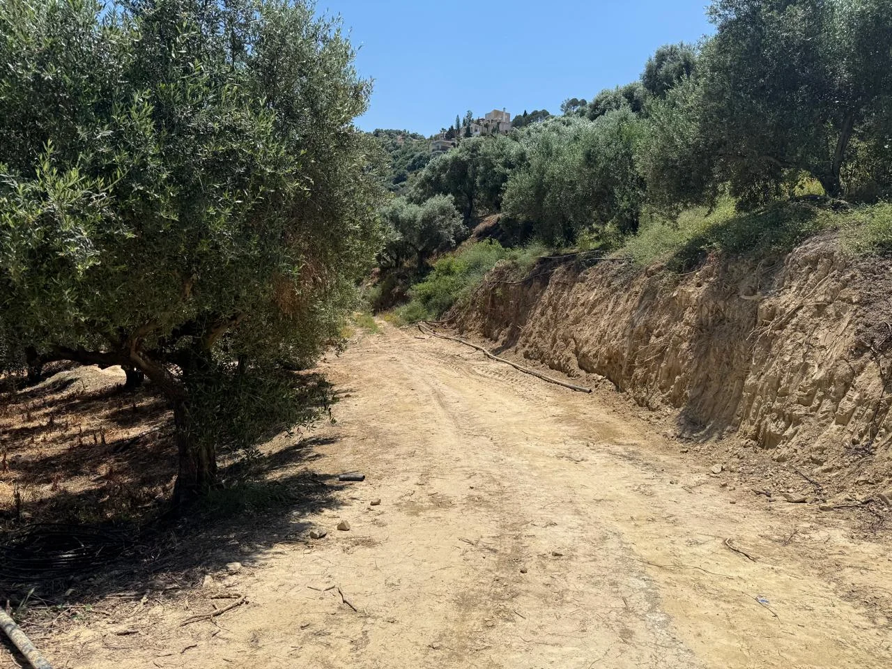 Gallery image 13