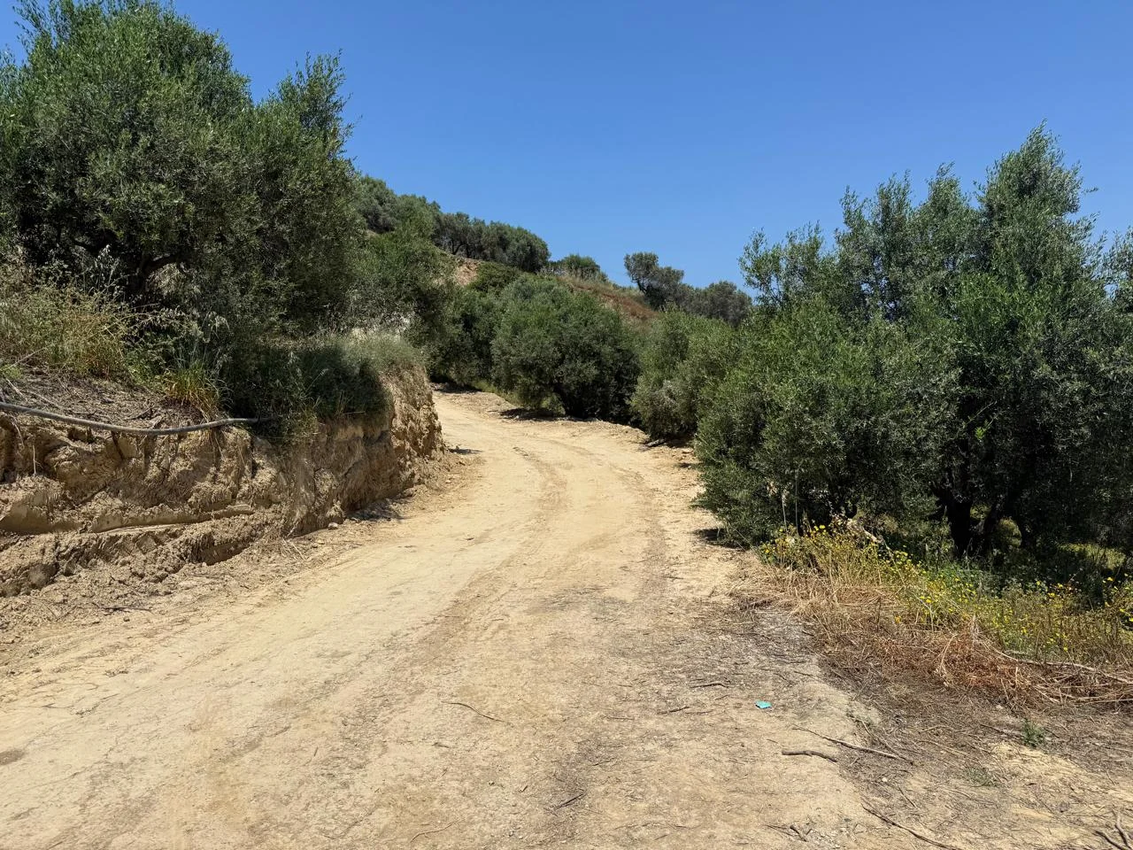 Gallery image 14