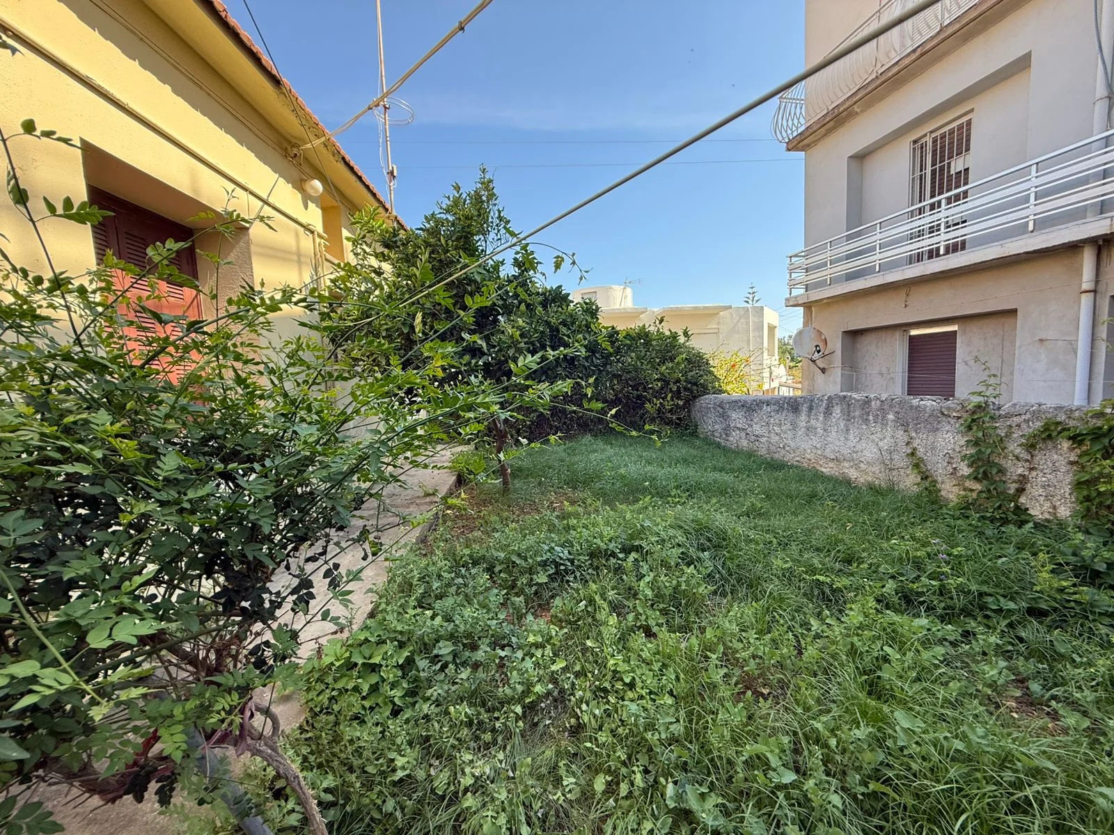 Gallery image 20