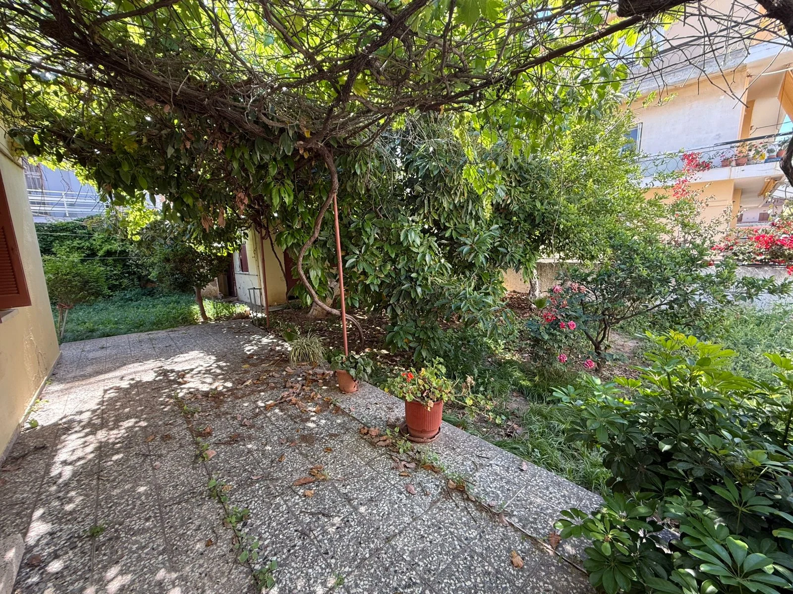 Gallery image 18