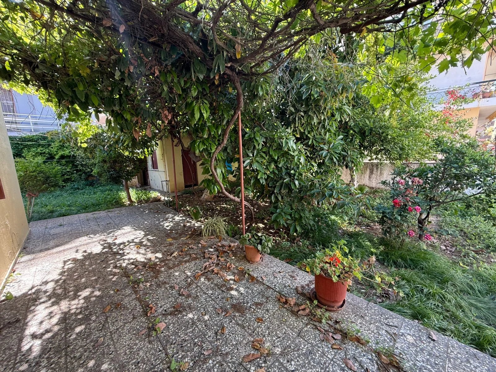 Gallery image 19