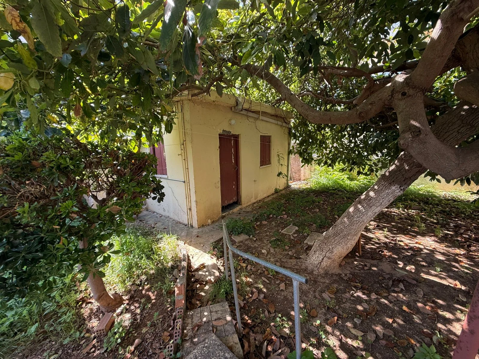 Gallery image 6