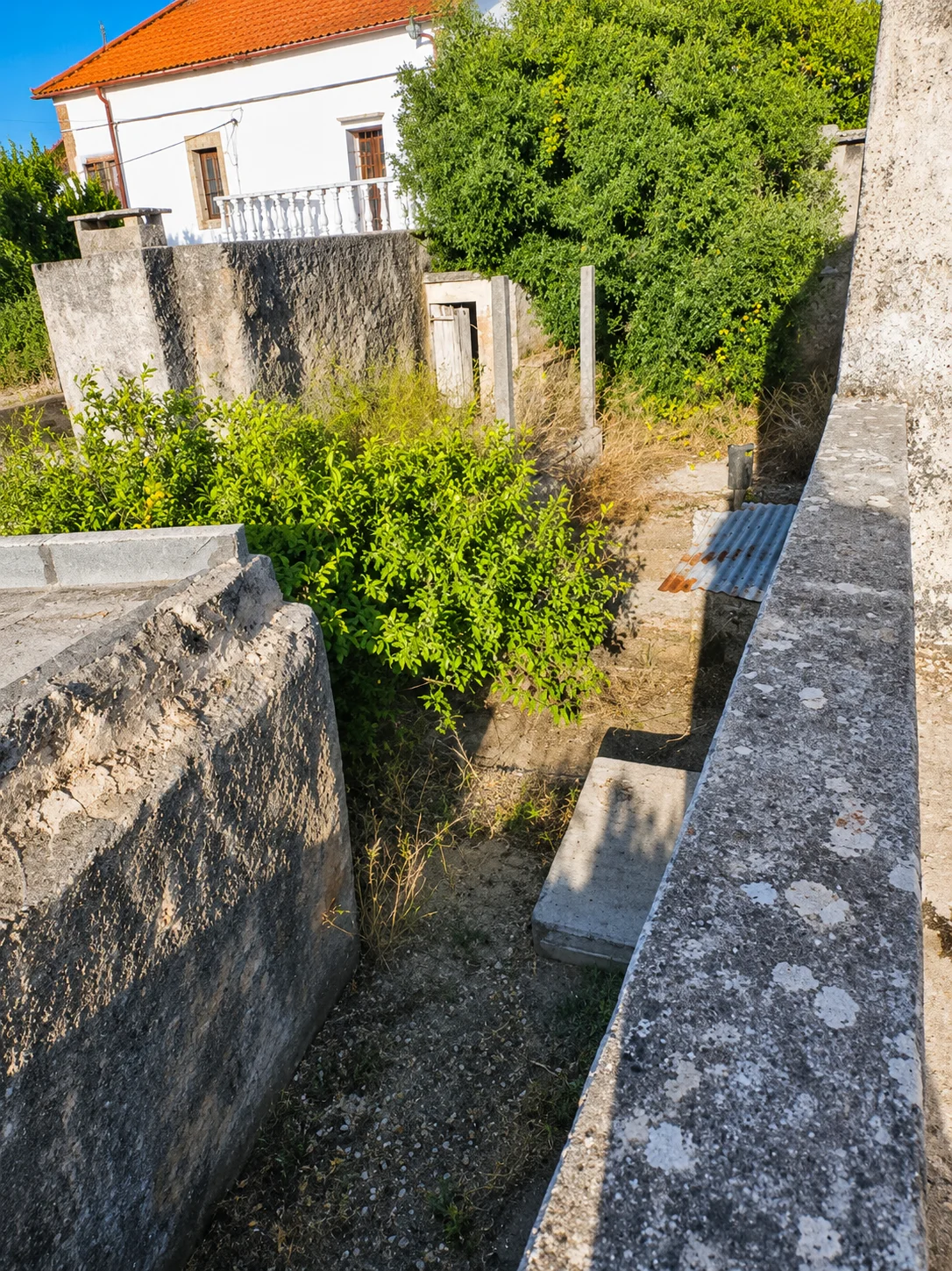 Gallery image 10