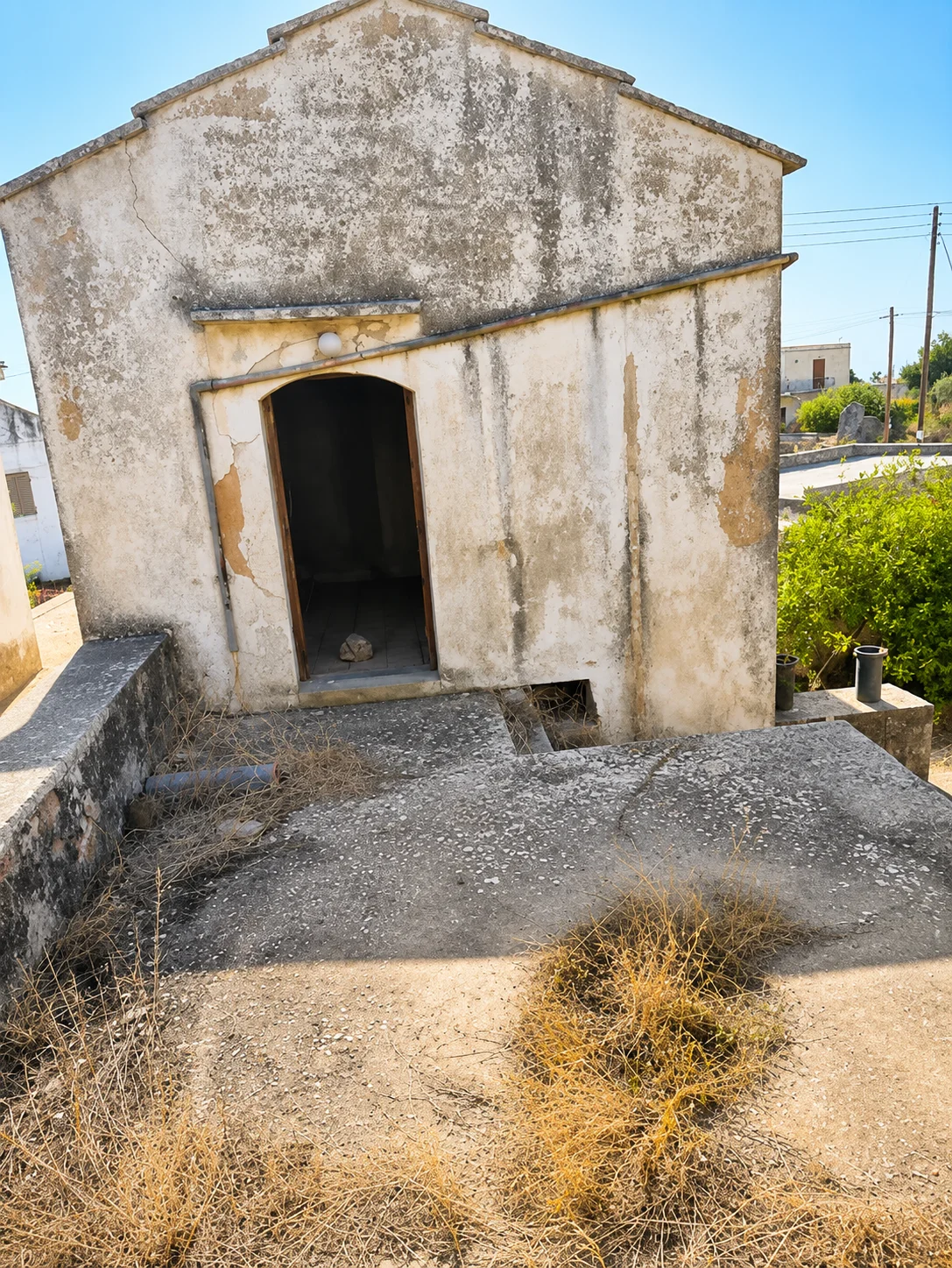 Gallery image 13