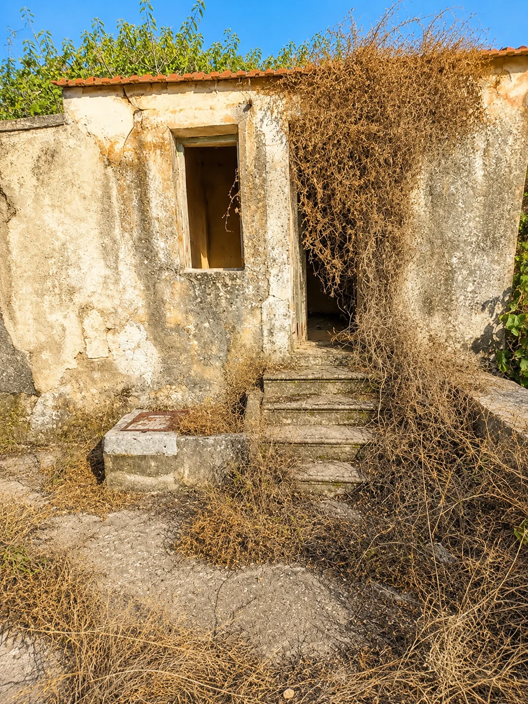 Gallery image 14