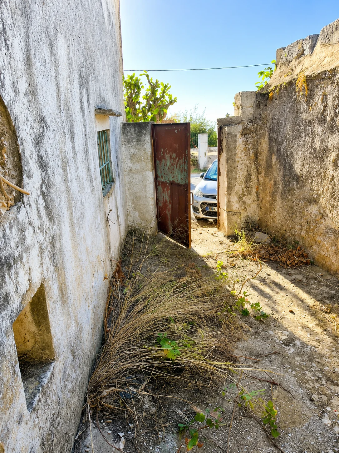 Gallery image 3