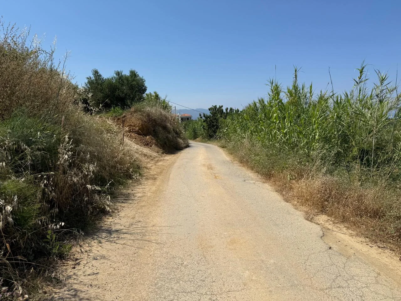 Gallery image 11