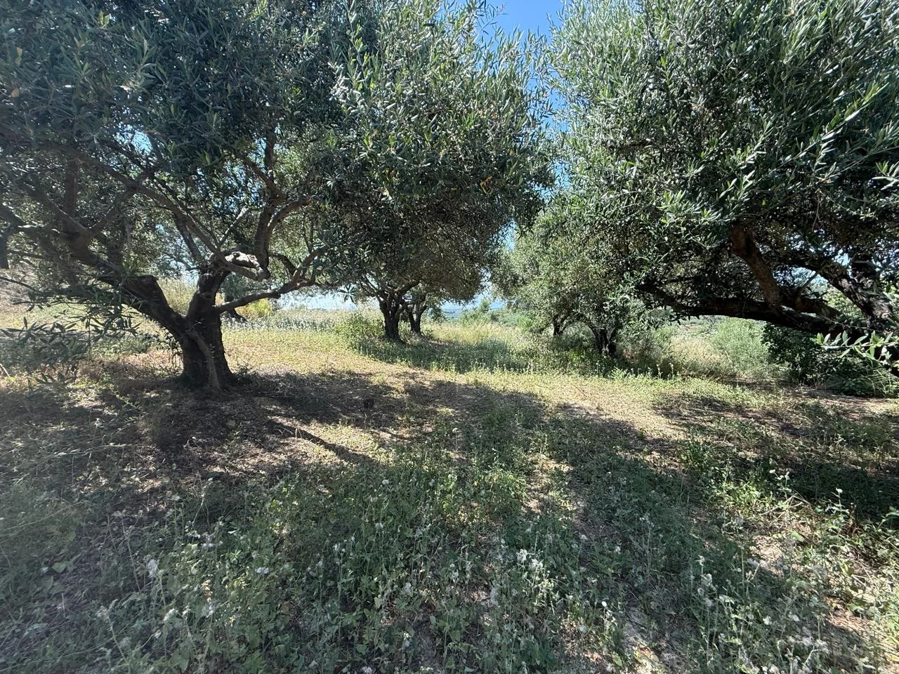 Gallery image 13