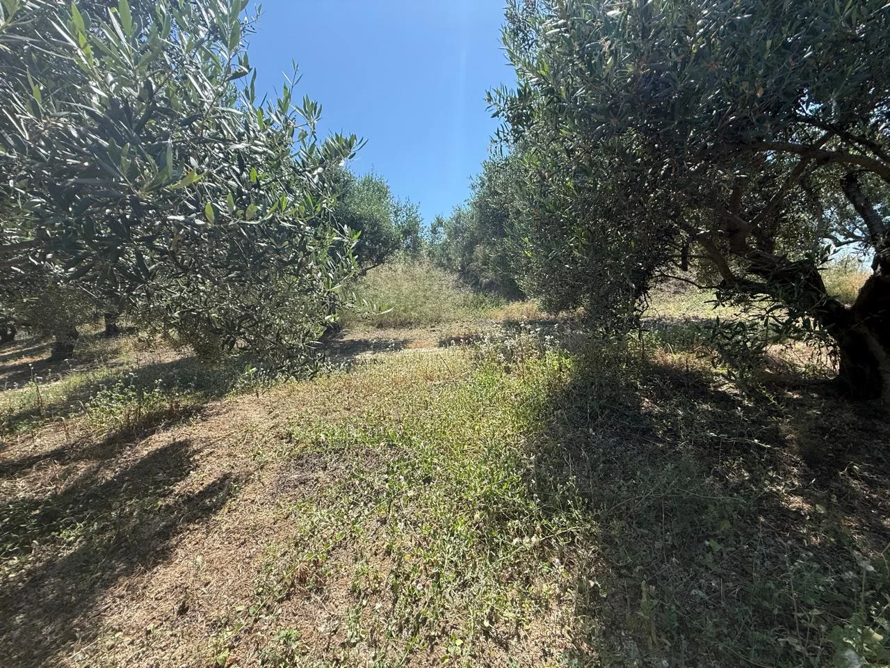 Gallery image 14