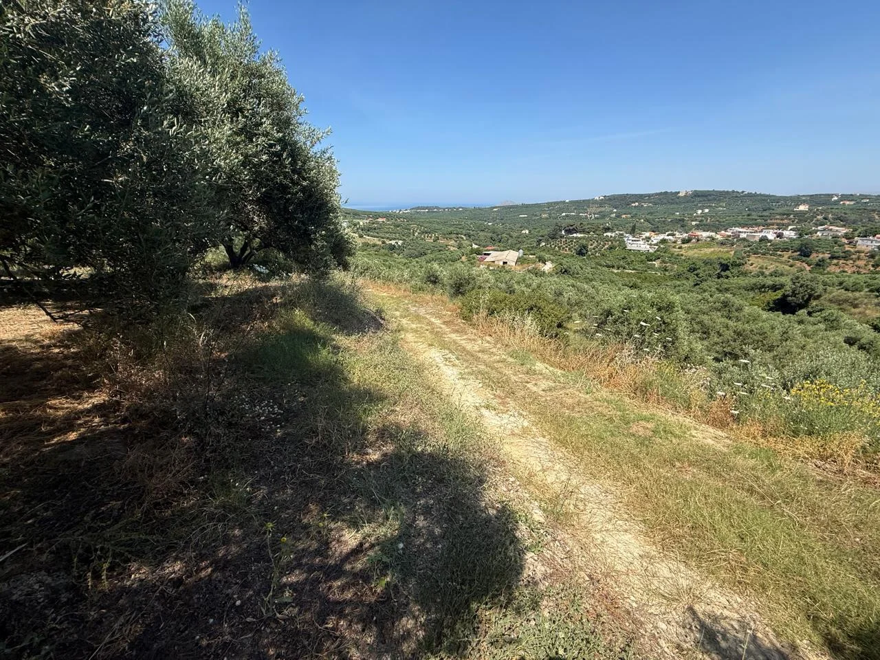 Gallery image 15