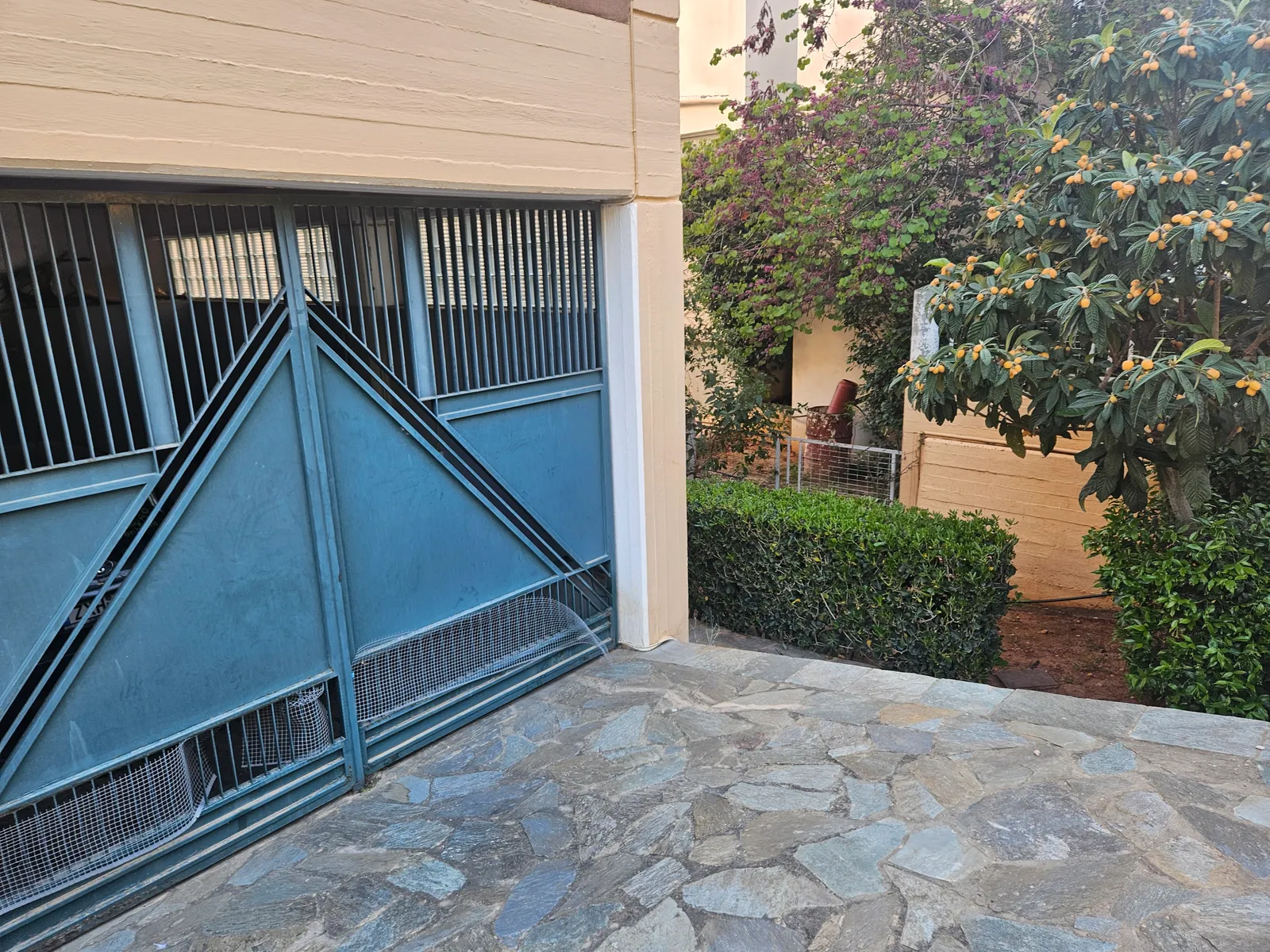 Gallery image 8