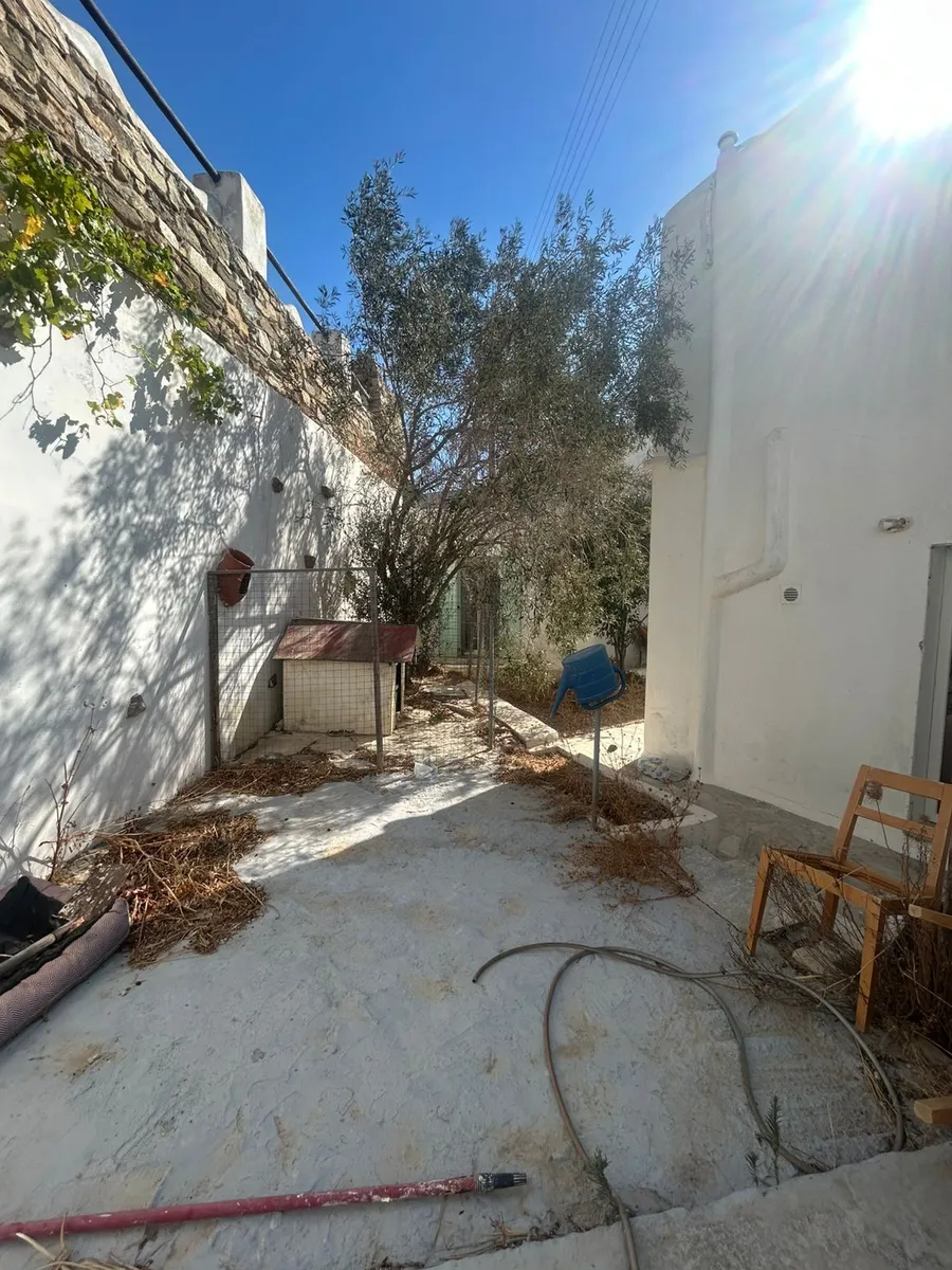 Gallery image 13