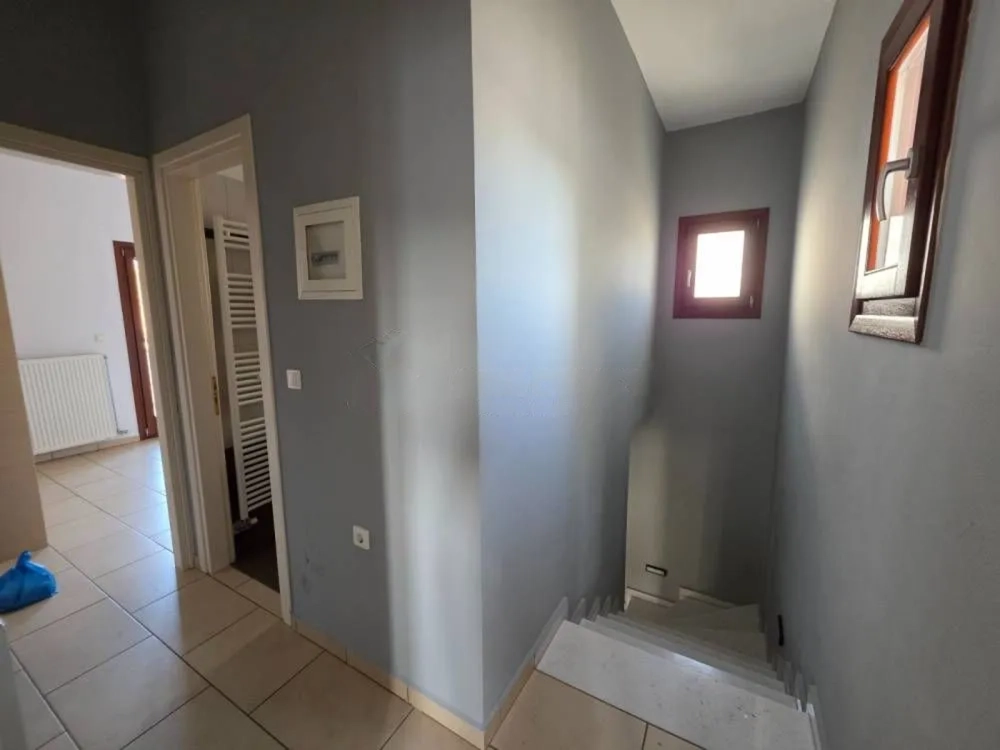 Gallery image 13