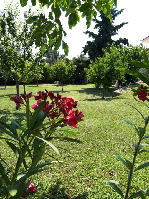 Gallery image 14
