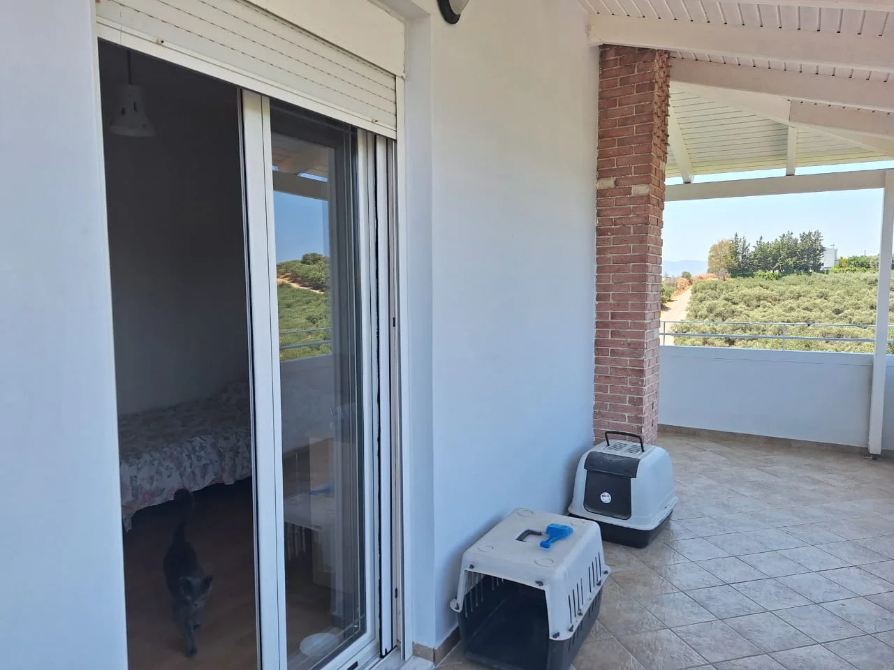 Gallery image 18