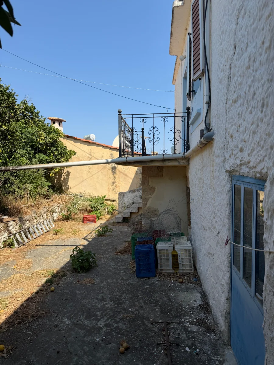 Gallery image 10