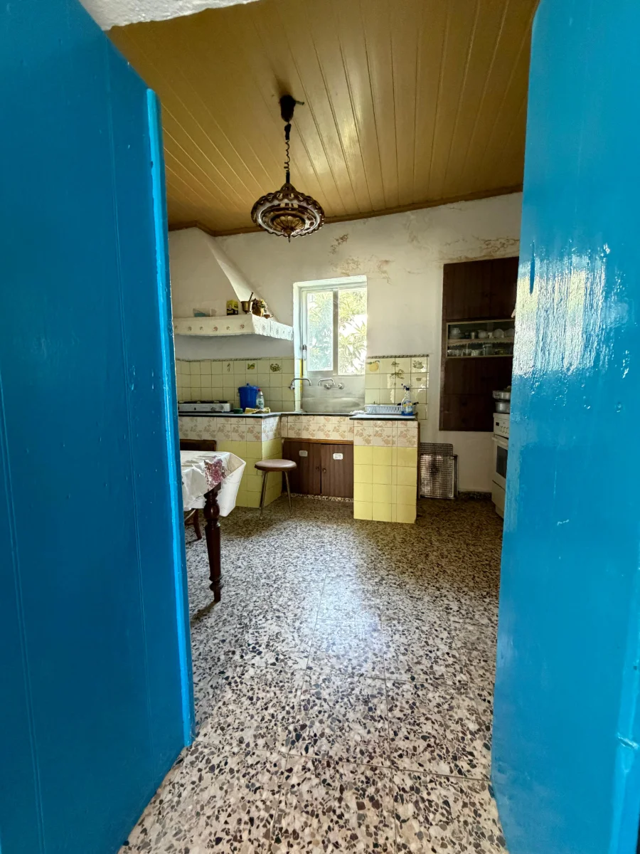 Gallery image 13