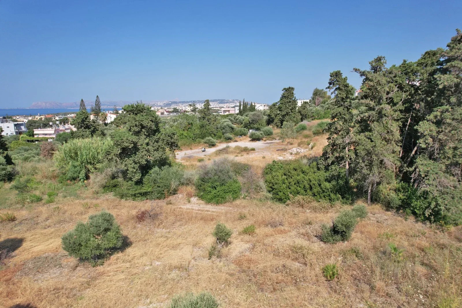 Gallery image 11