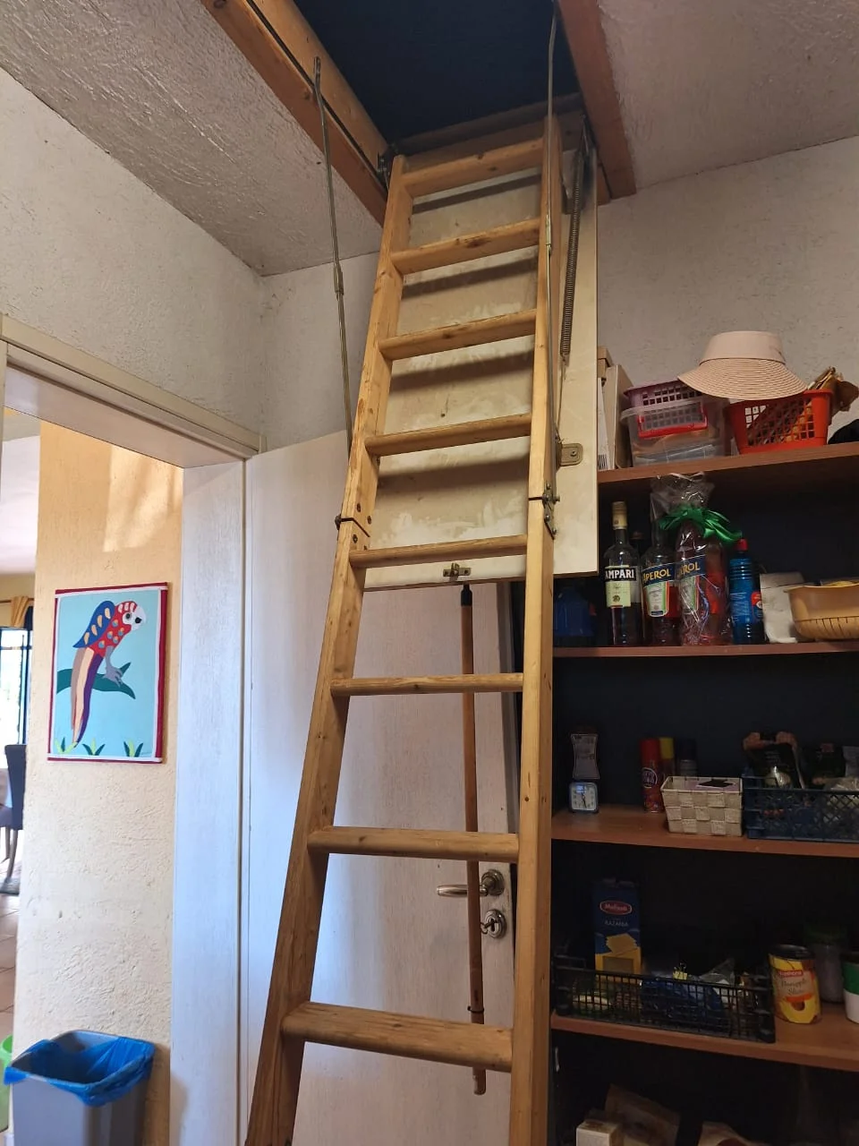Gallery image 11