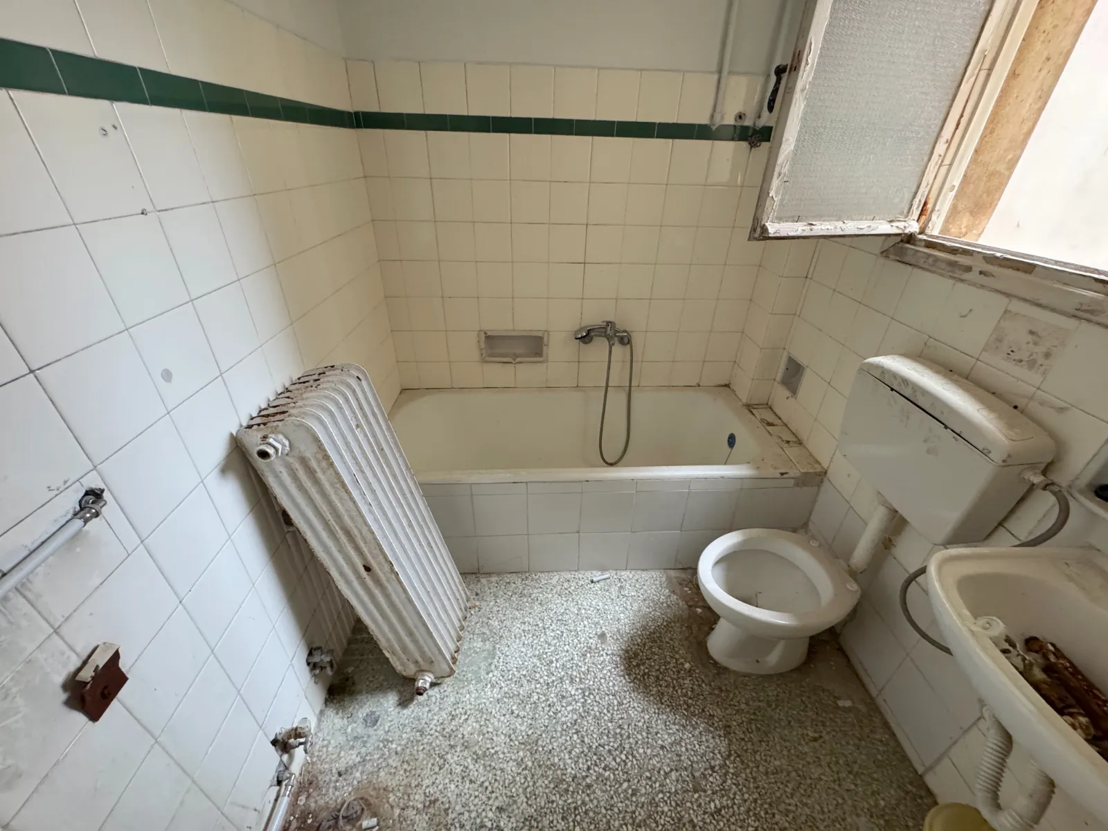 Gallery image 11