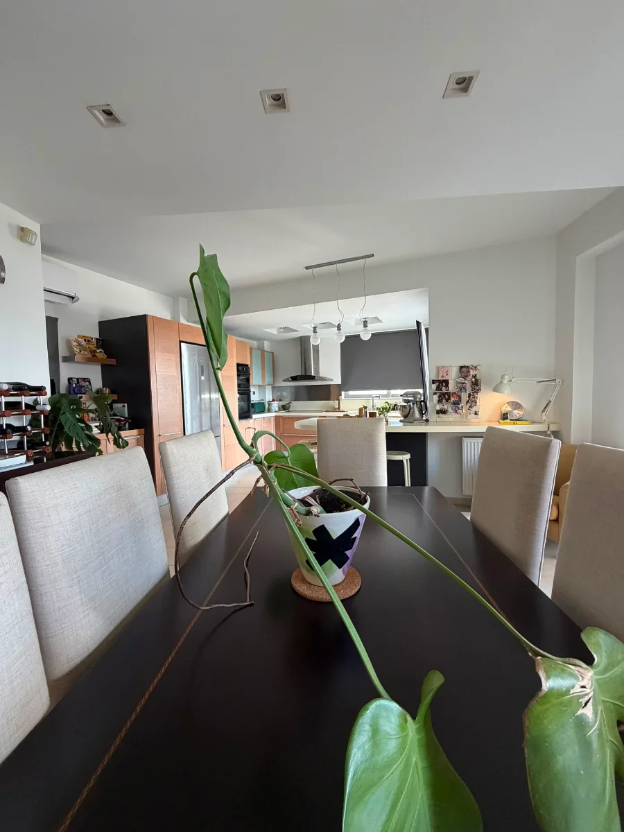 Gallery image 9
