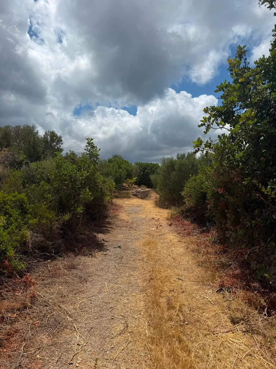 Gallery image 14