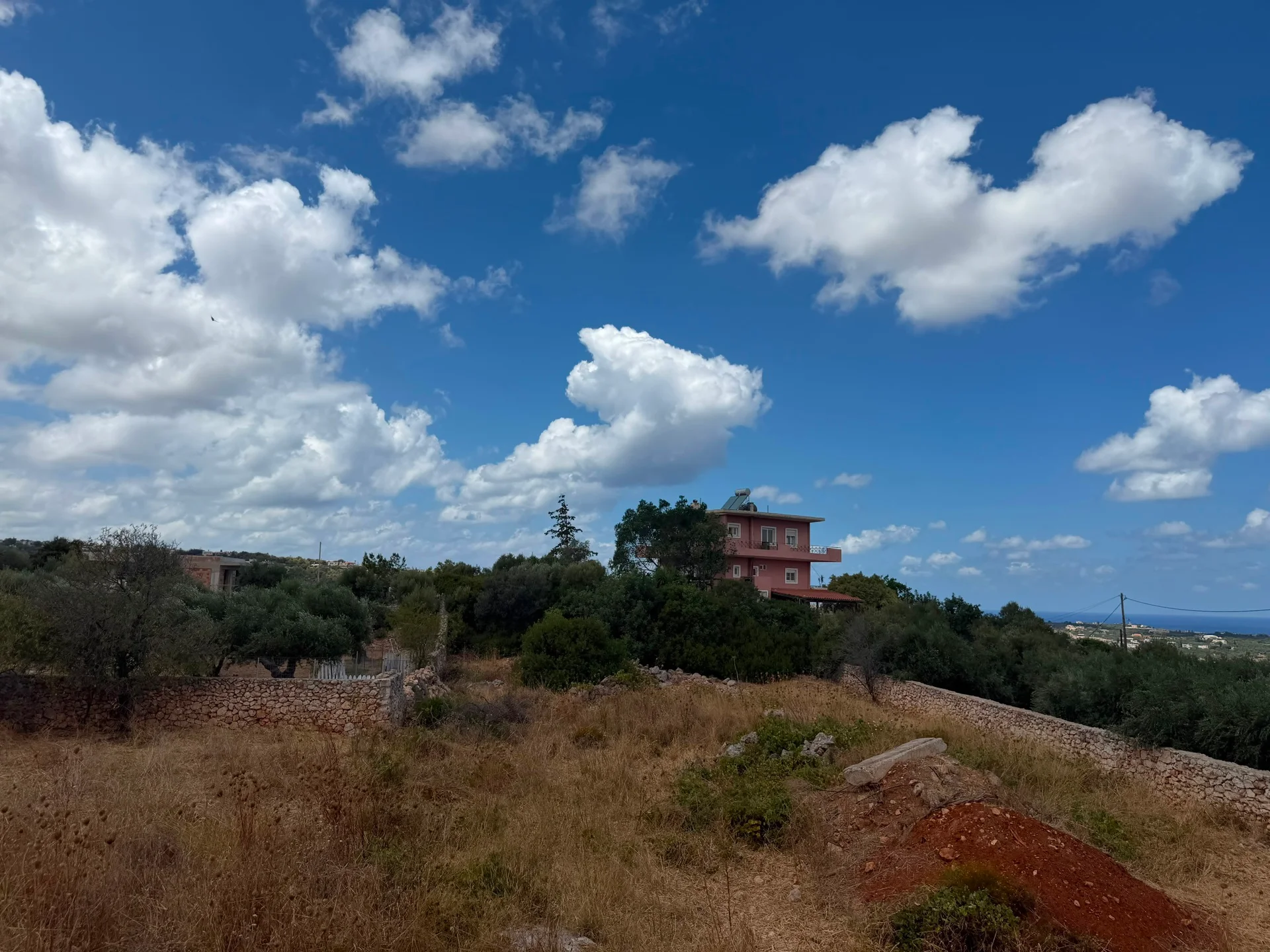 Gallery image 15