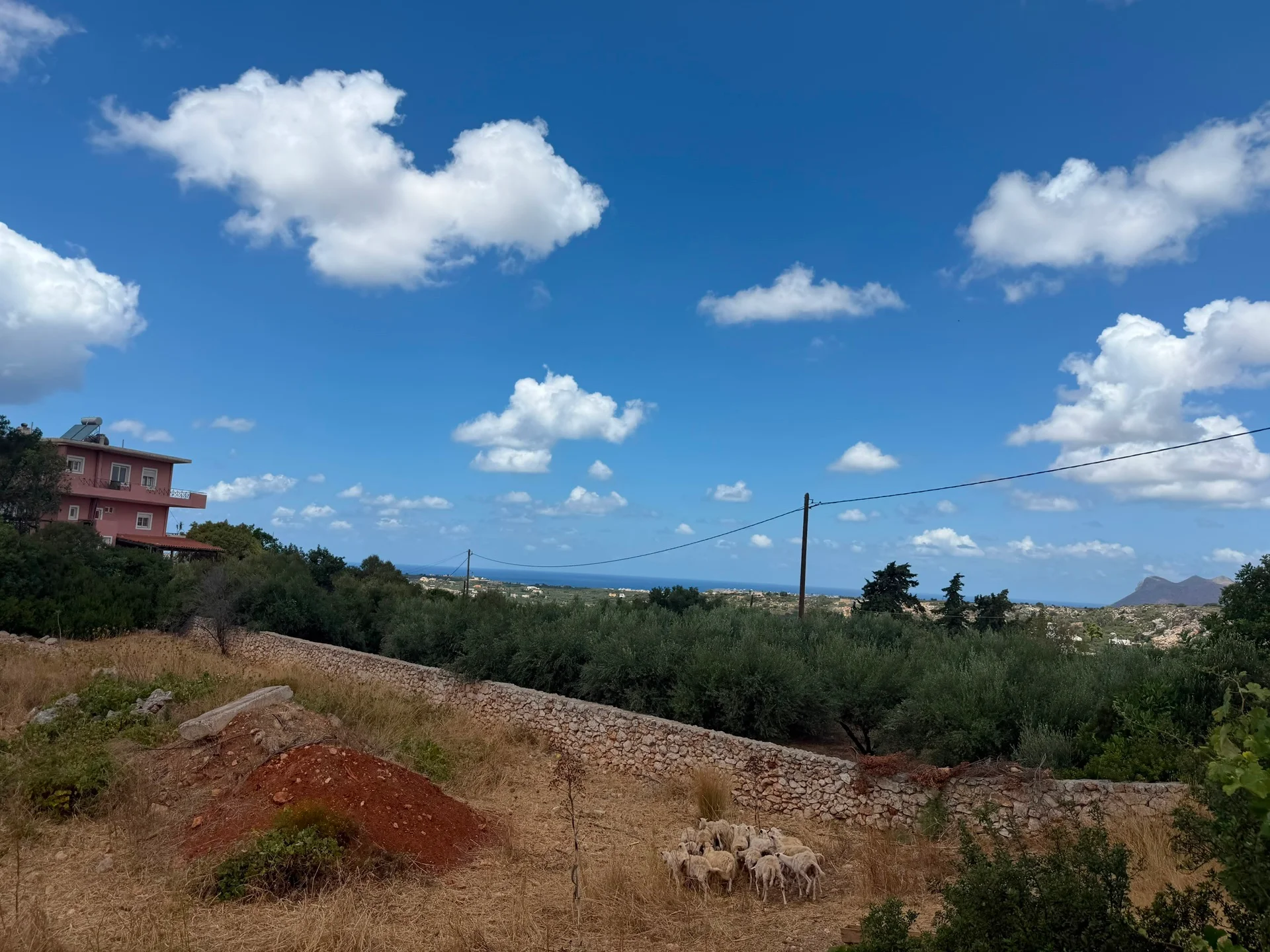 Gallery image 12