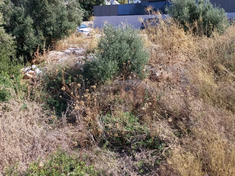 Gallery image 7