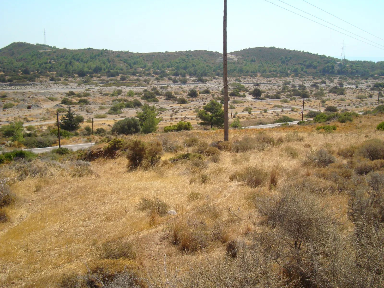 Gallery image 11