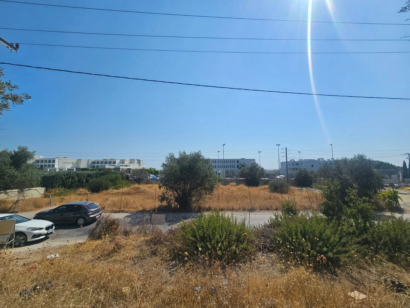 Gallery image 11