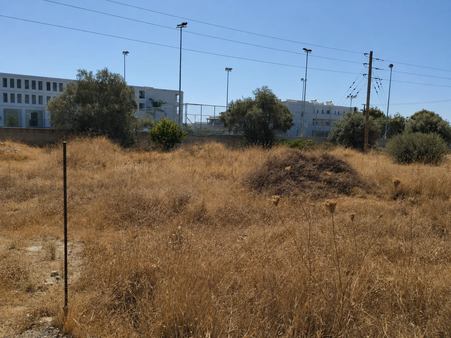 Gallery image 6