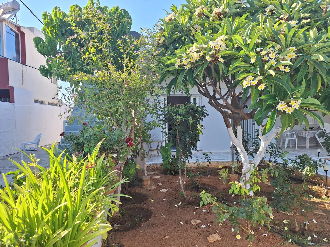 Gallery image 2