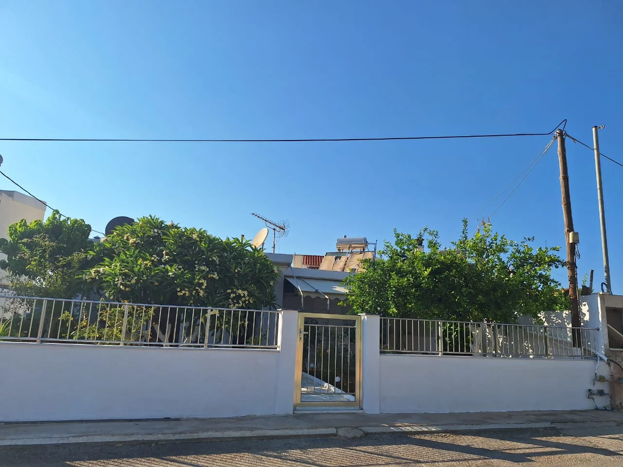 Gallery image 19