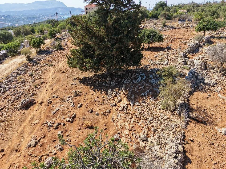 Gallery image 6