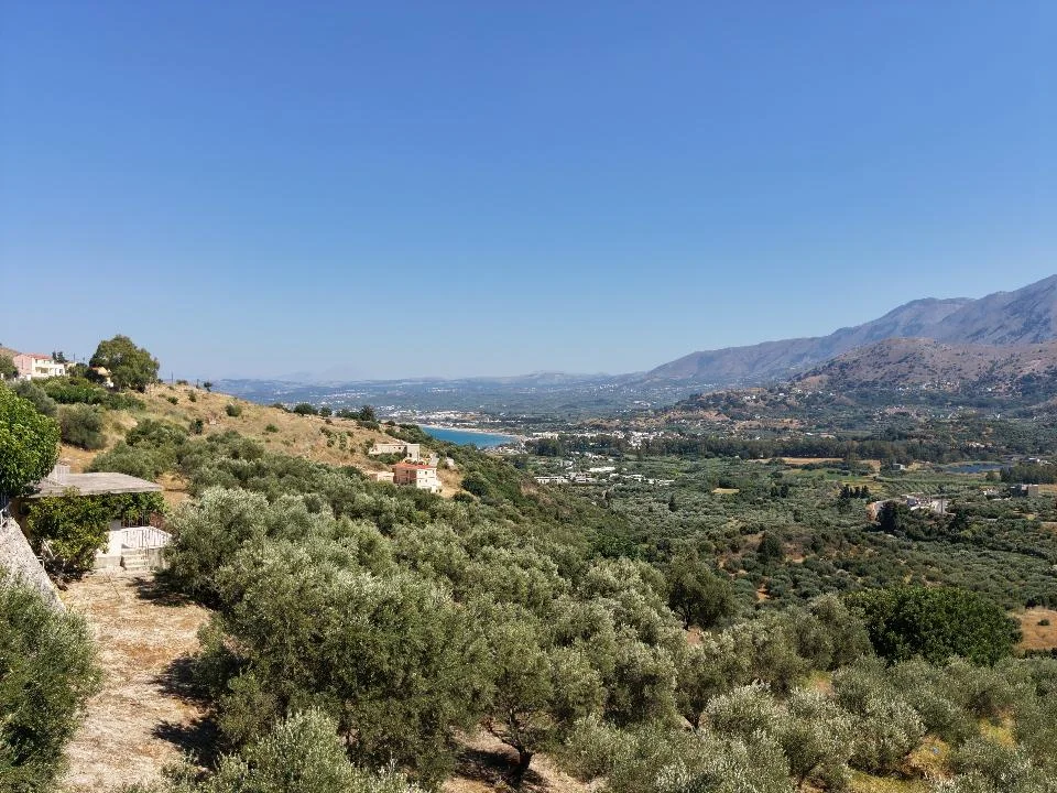 Gallery image 25