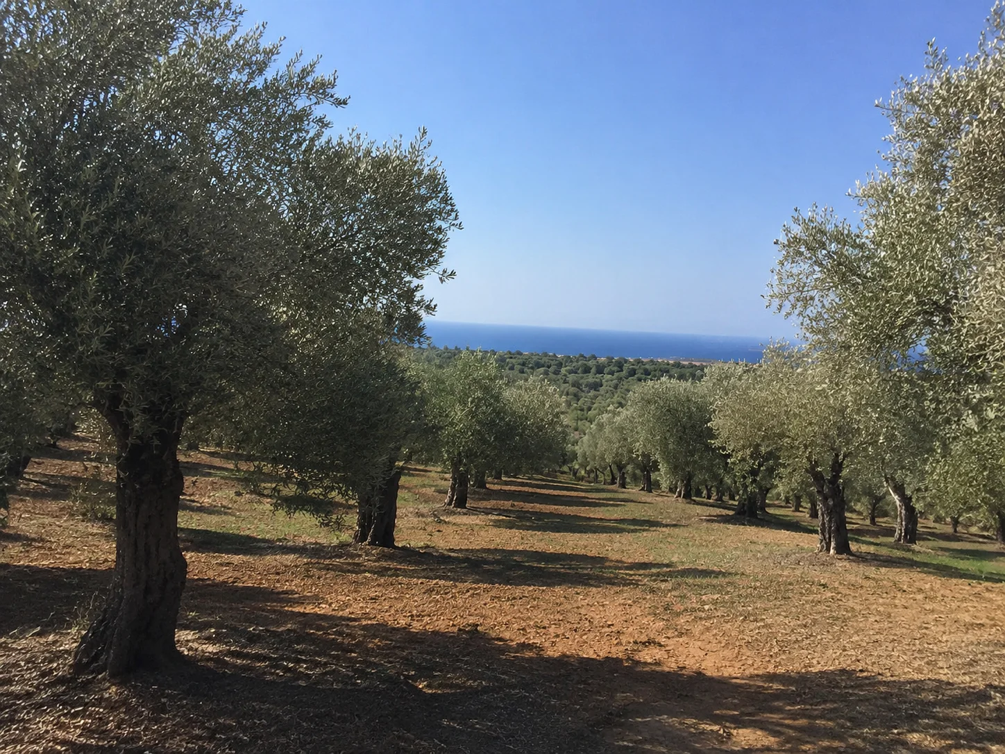 Gallery image 15