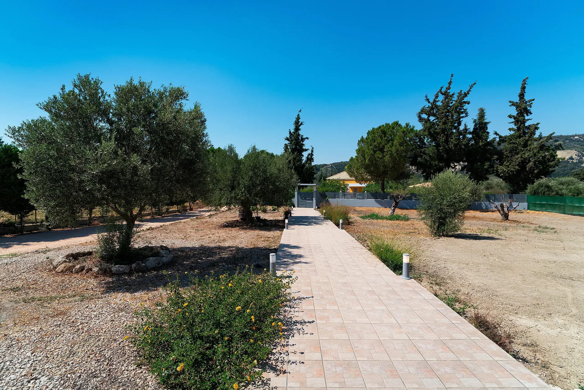 Gallery image 12