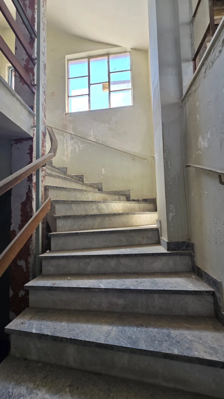 Gallery image 12
