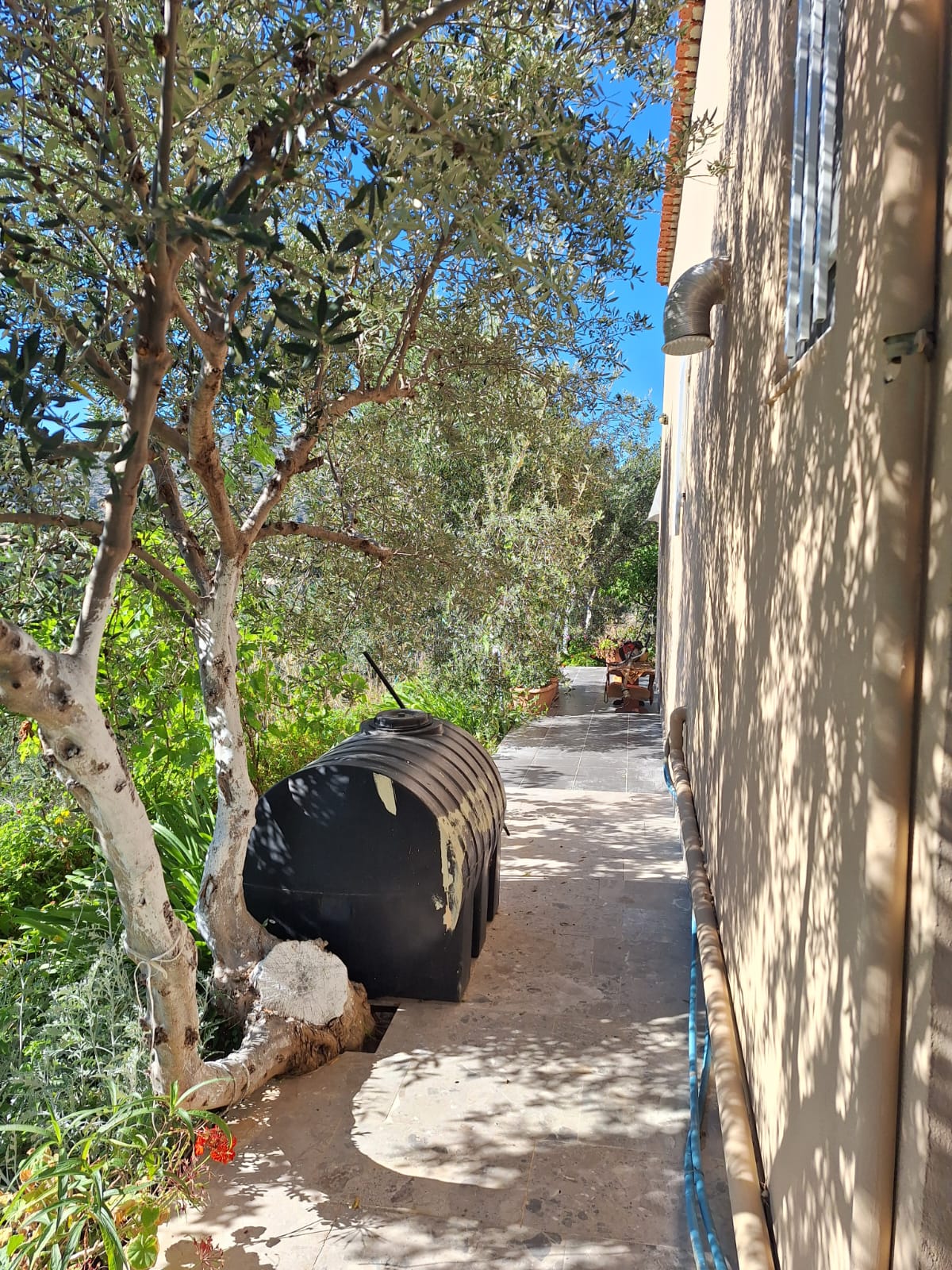 Gallery image 15