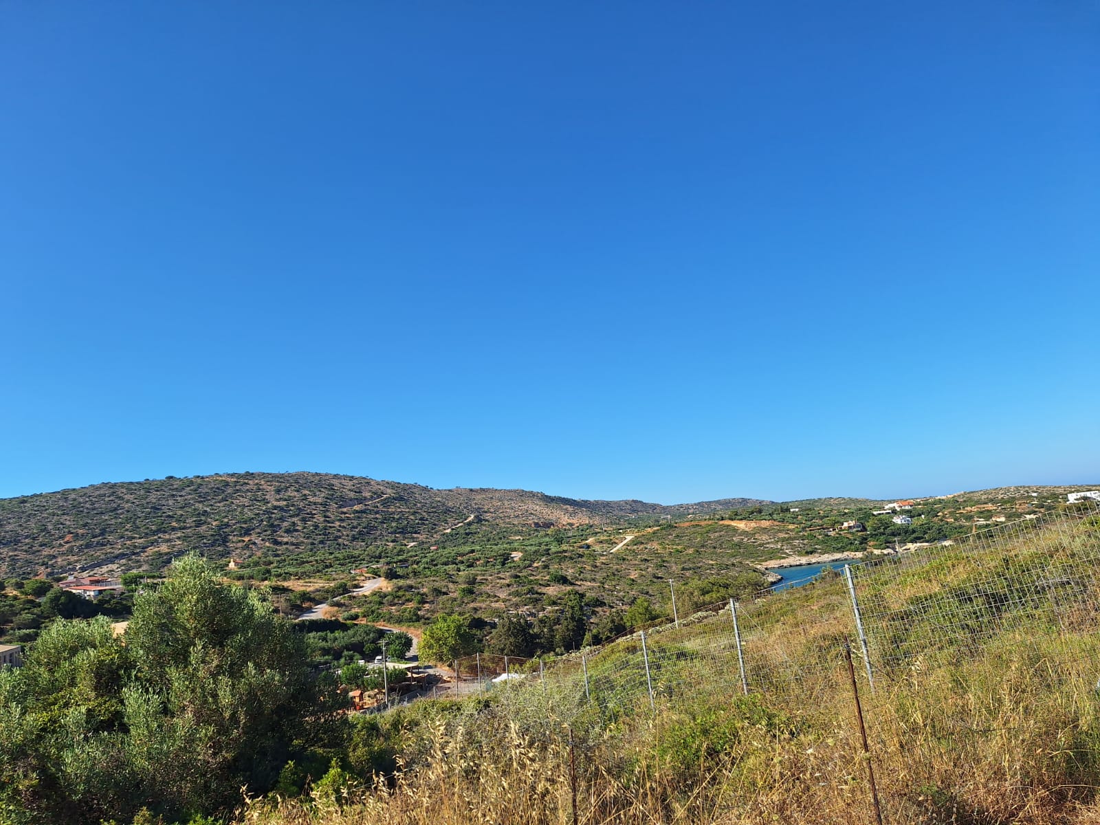 Gallery image 17