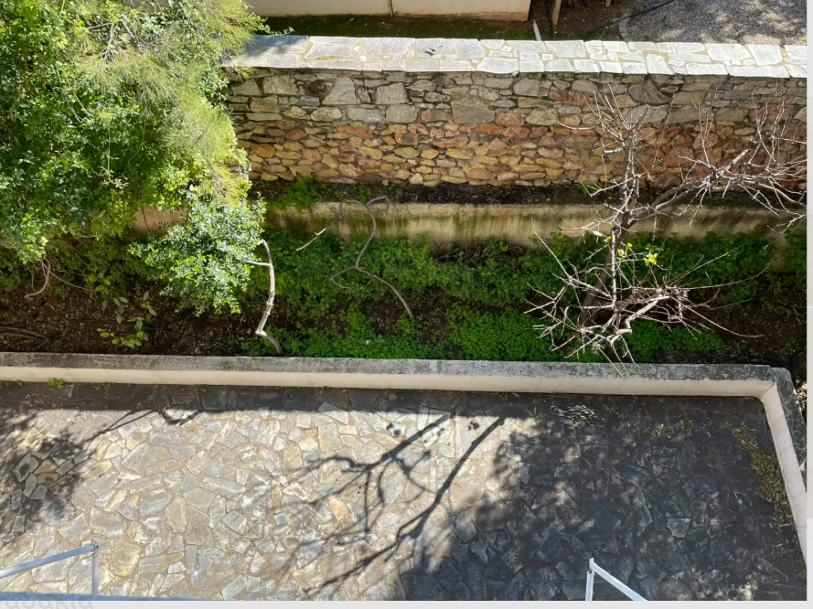 Gallery image 9