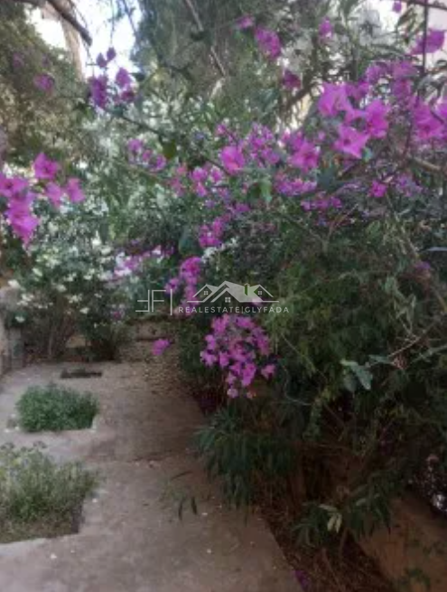 Gallery image 12