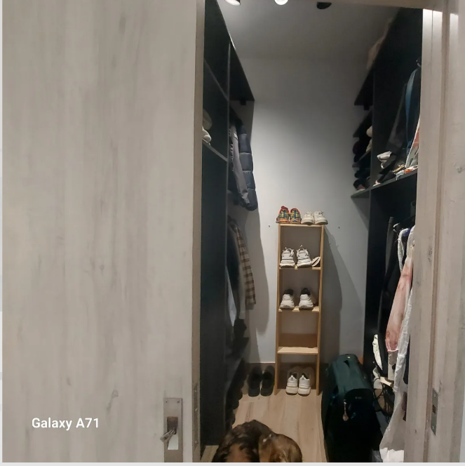 Gallery image 9