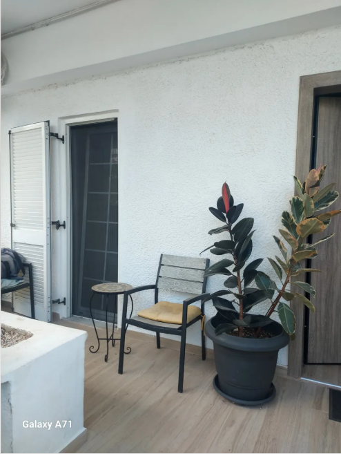 Gallery image 13